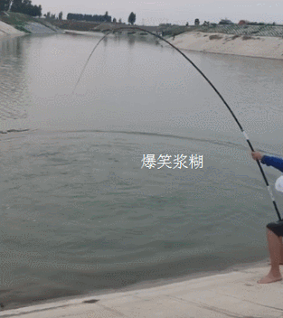 313_352gif 动态图 动图