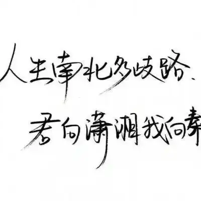 纯文字头像大全最新纯文字qq头像图片