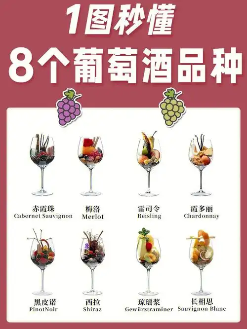 葡萄酒入门必看一图秒懂8大葡萄酒品种