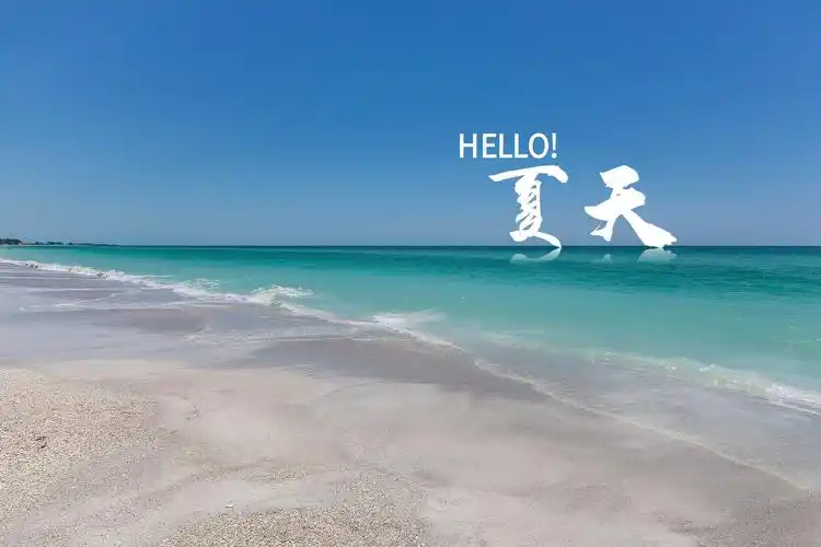 你好,夏天的大海