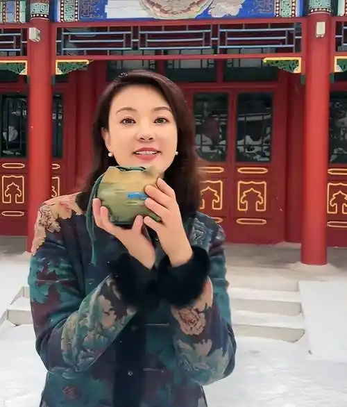 刘芳菲:有惊无险,因大雪封路被困陕西高家堡镇3天之后顺利抵京_北京_