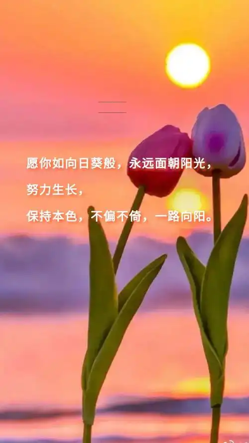 早安心向阳光正能量的句子(早安正能量励志配图及说说)