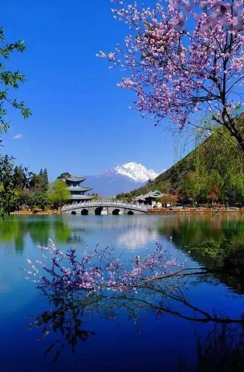 丽江古城作衬又兼备了深厚的文化底蕴不仅集合中国风景园林之大成看似