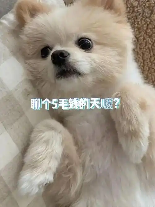 这个点醒来了一起聊个5毛钱的天嘛