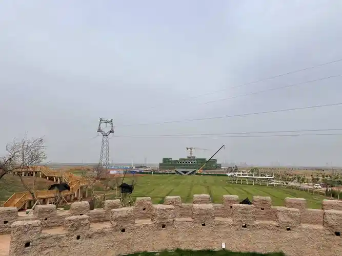 青铜峡市立足优势擦亮"紫色名片"