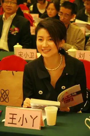 今日观察主持人王小丫