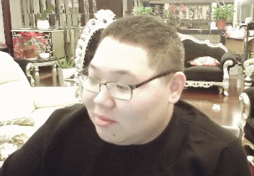 pdd骚猪挑眉gifgif挑眉骚猪pdd表情