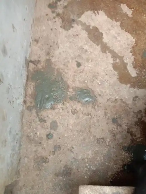 老师好请问一下我的猪拉黑灰色的稀屎该怎么治疗谢谢