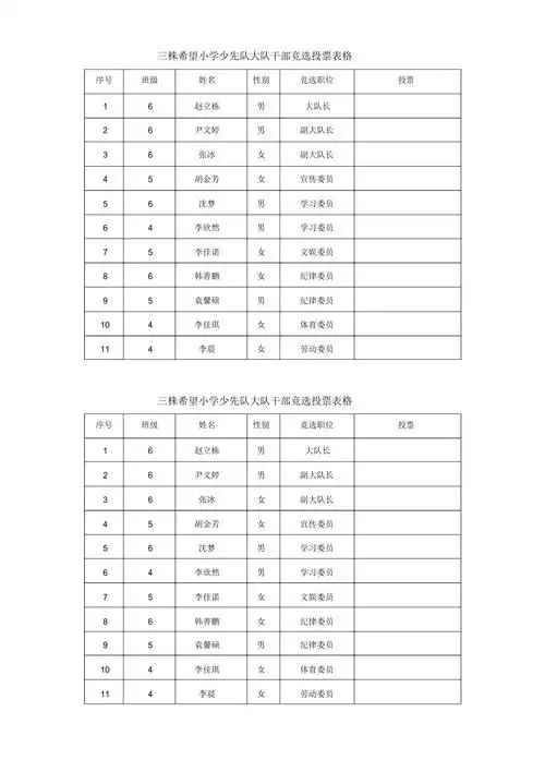 少先队大队干部竞选投票表格_第1页