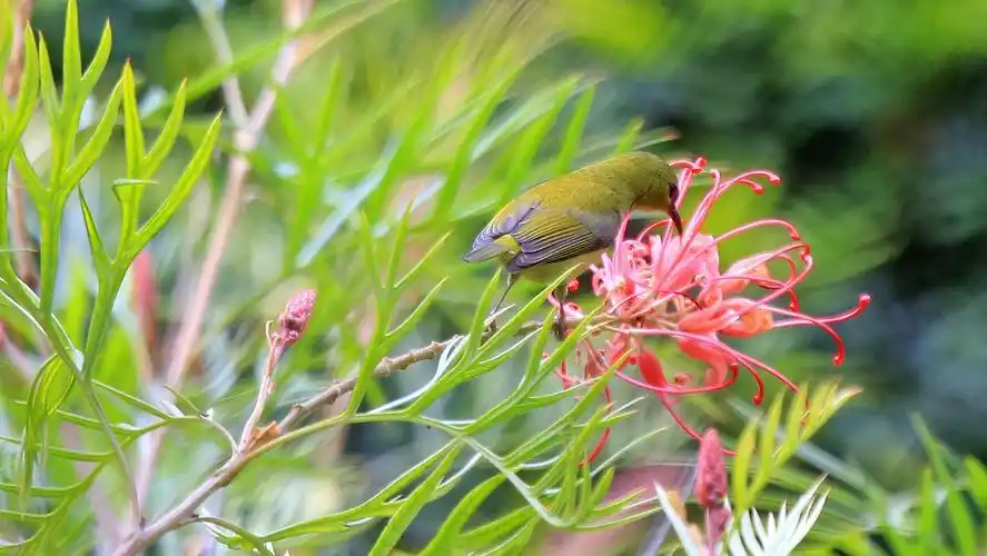 鸟.风景.摄影.参考素材 - 堆糖,美图壁纸兴趣社区