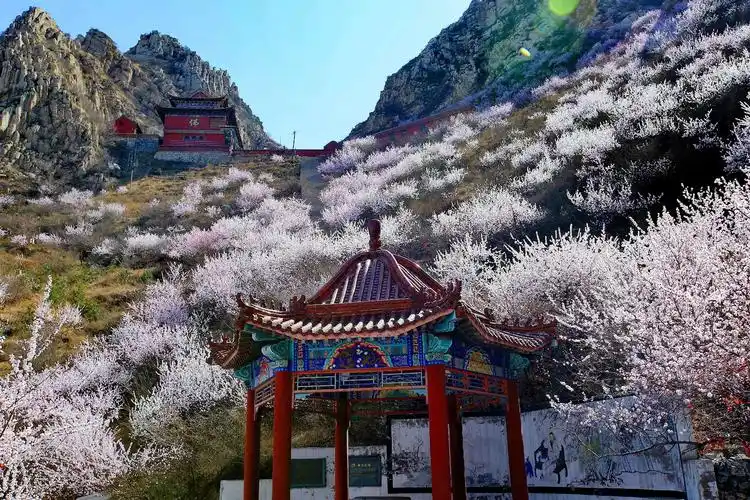 尚客优快捷酒店(张家口下花园火车站店) 鸡鸣山旅游风景区