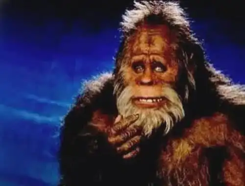 如果没有,那么野人究竟是什么生物?