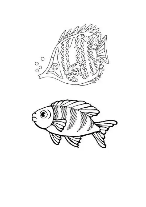 【国画教程】15集,鲤鱼的画法简笔画|各种鱼的画法手绘海洋生物手帐