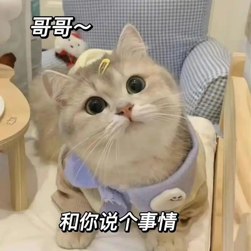 谈恋爱总是要有点意思嘛.#猫咪表情包 #发给对象表情包 #表 - 抖音