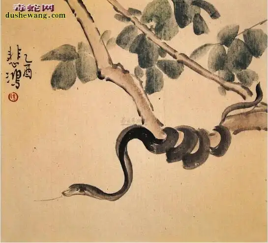 国画蛇图片国画蛇艺术图片欣赏大全