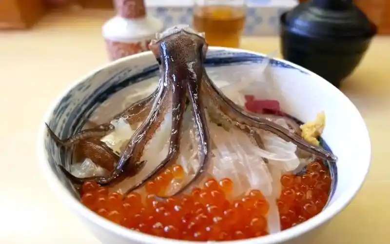 日本街头美食 ~ 生吃鱿鱼的正确吃法