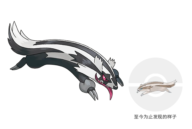 直冲熊(伽勒尔的样子)