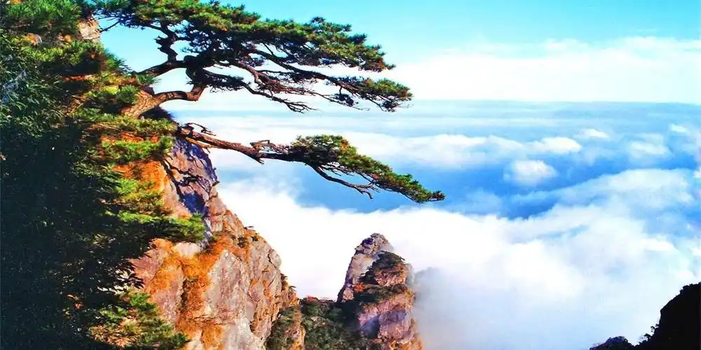 江西境内四大名山庐山三清山井冈山和武功山哪个更壮观呢