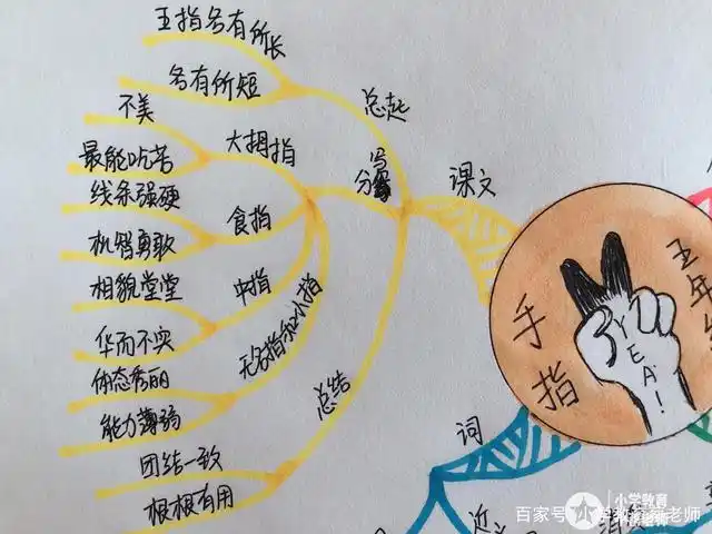 思维导图学课文,五年级《手指》,团结就是力量