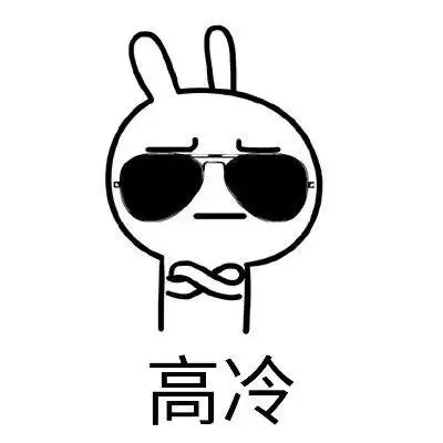 高冷的表情包09