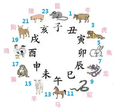 属十二生肖的年份表3