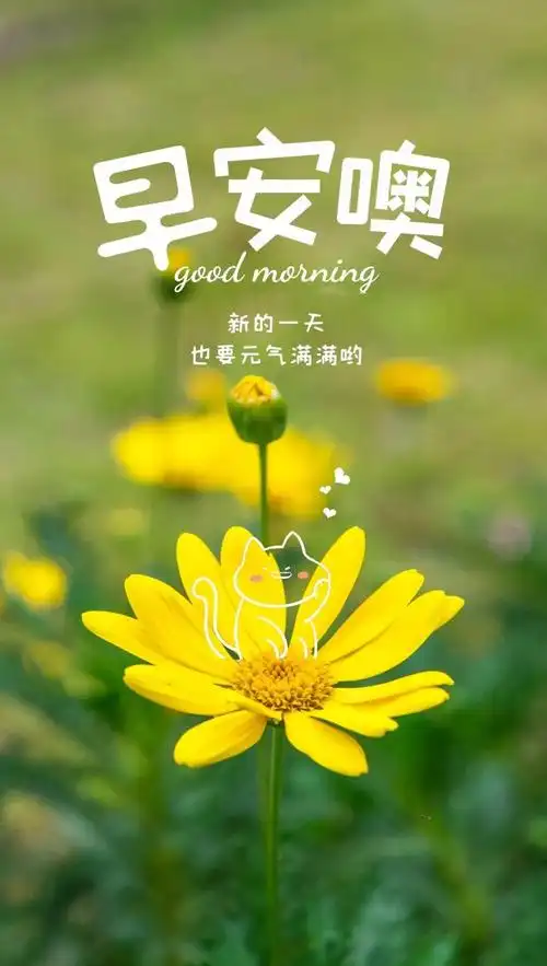 03.26」早安心语,正能量努力工作文案 新的一天问候语图片