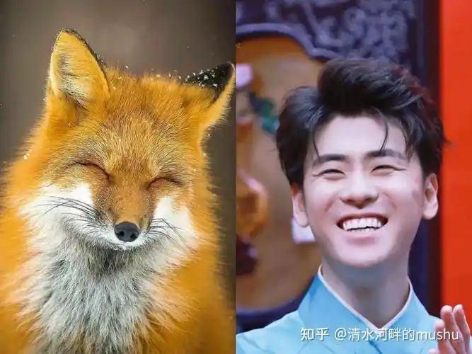 记录陪伴张云雷的每一天244