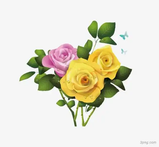 月季花png素材透明免抠图片-其他元素