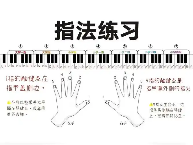 【悦耳钢琴】弹琴手型不规范?手把手带你训练指法!