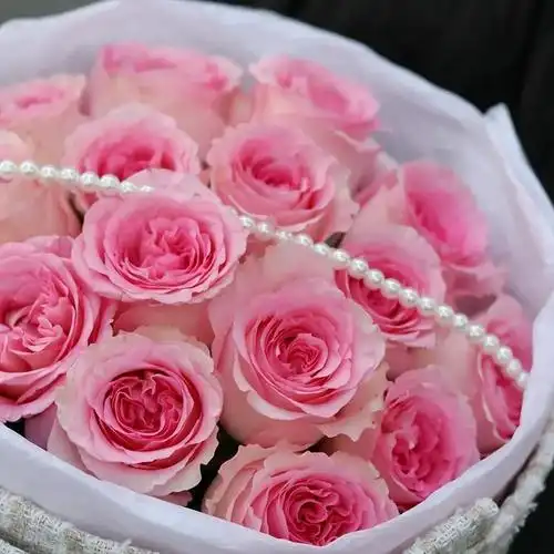 洛神玫瑰云南斗南鲜花基地直发昆明花卉市场批鲜切花发真花粉色