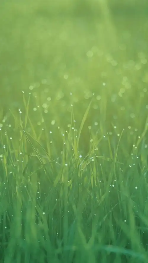 【手机壁纸分享】苹果ios6,全套壁纸分享,多支持哈