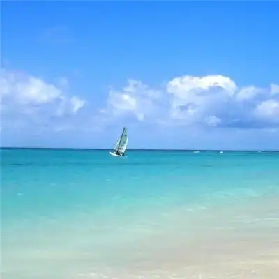 2020微信最吉利的好看头像图片 寓意好运的微信头像大全