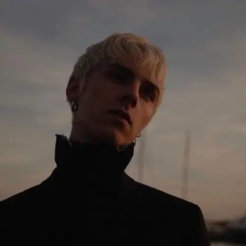 欧美头像男wildboys来自ins自截swing