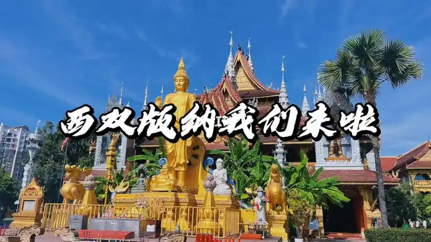 欢迎收看离职宣传片西双版纳之热死篇