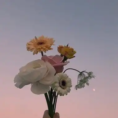 唯美一朵花头像似水年华