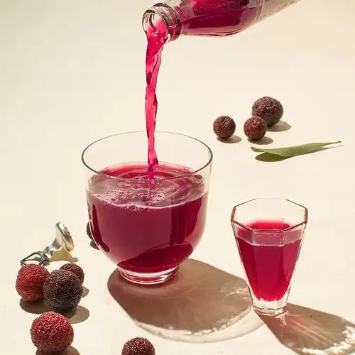 好望水杨梅汁果汁气泡水300ml*6