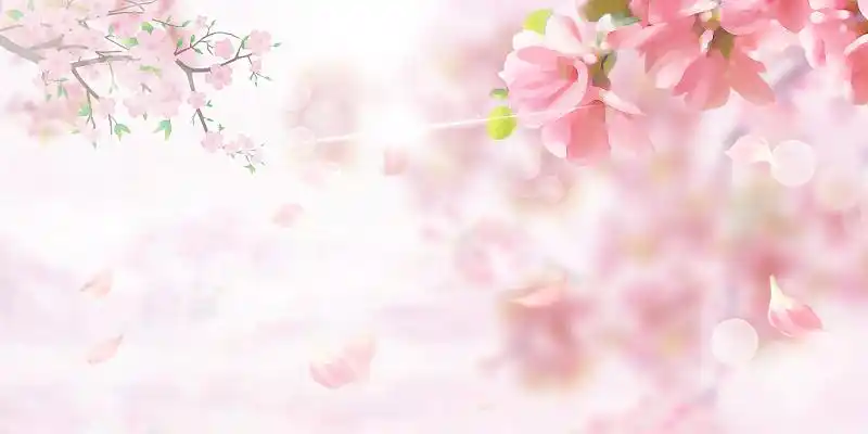 春分背景粉色唯美桃花春暖花开展板背景春天春暖花开