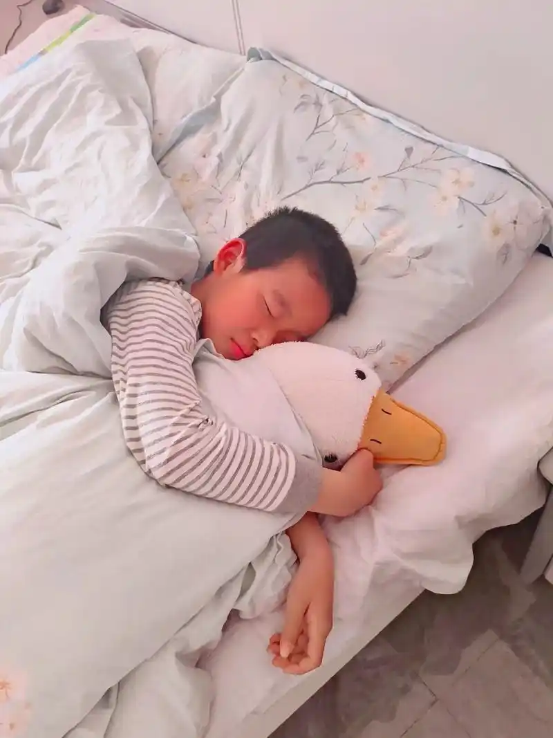 偷拍喜欢抱大白鹅睡觉的小男孩