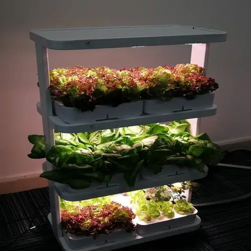 无土栽培蔬菜阳台种菜神器家庭水培系统种菜懒人种菜层架落地式