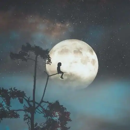 失恋情歌丨涌现在月夜下的忧伤