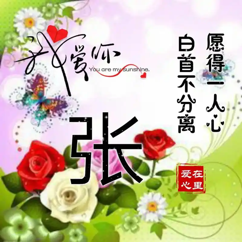 愿得一人心,白首不相离#头像 - 抖音