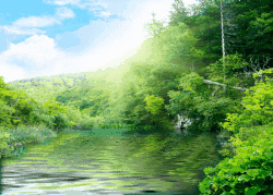 大自然山水花鸟动态_百度图片搜索