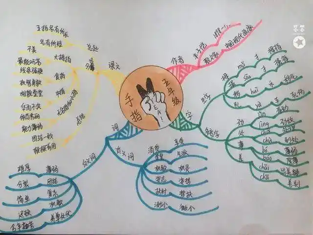 思维导图学课文五年级手指团结就是力量