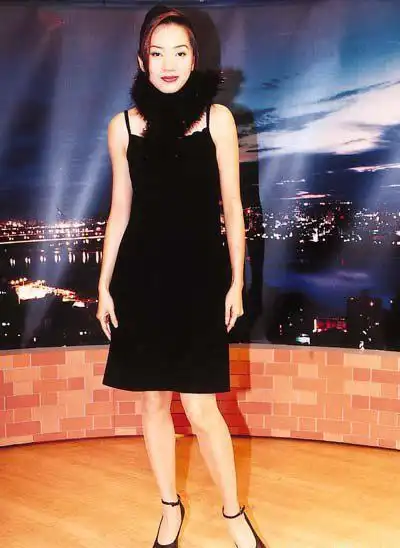 资料图片梅艳芳5