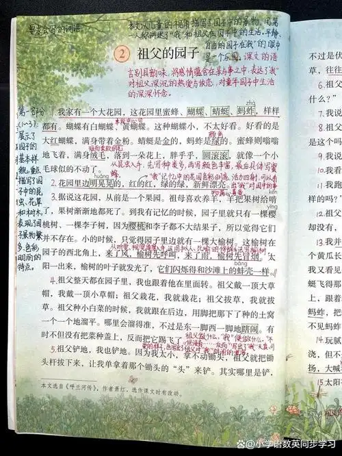 五年级下册语文第2课《祖父的园子》预习复习笔记