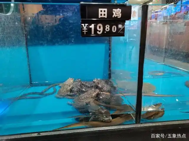 五象新区,一家大型连锁超市,开业