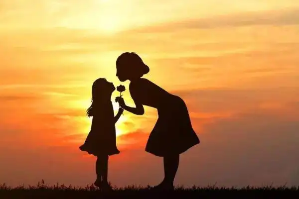 母爱的句子唯美有哪些