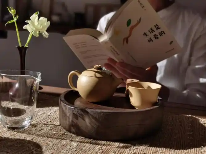 一茶一书一知己