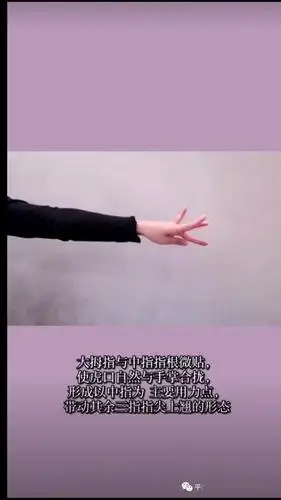 这个舞蹈可以让宝贝们学习到古典舞的基本手型:15兰花掌,兰花指