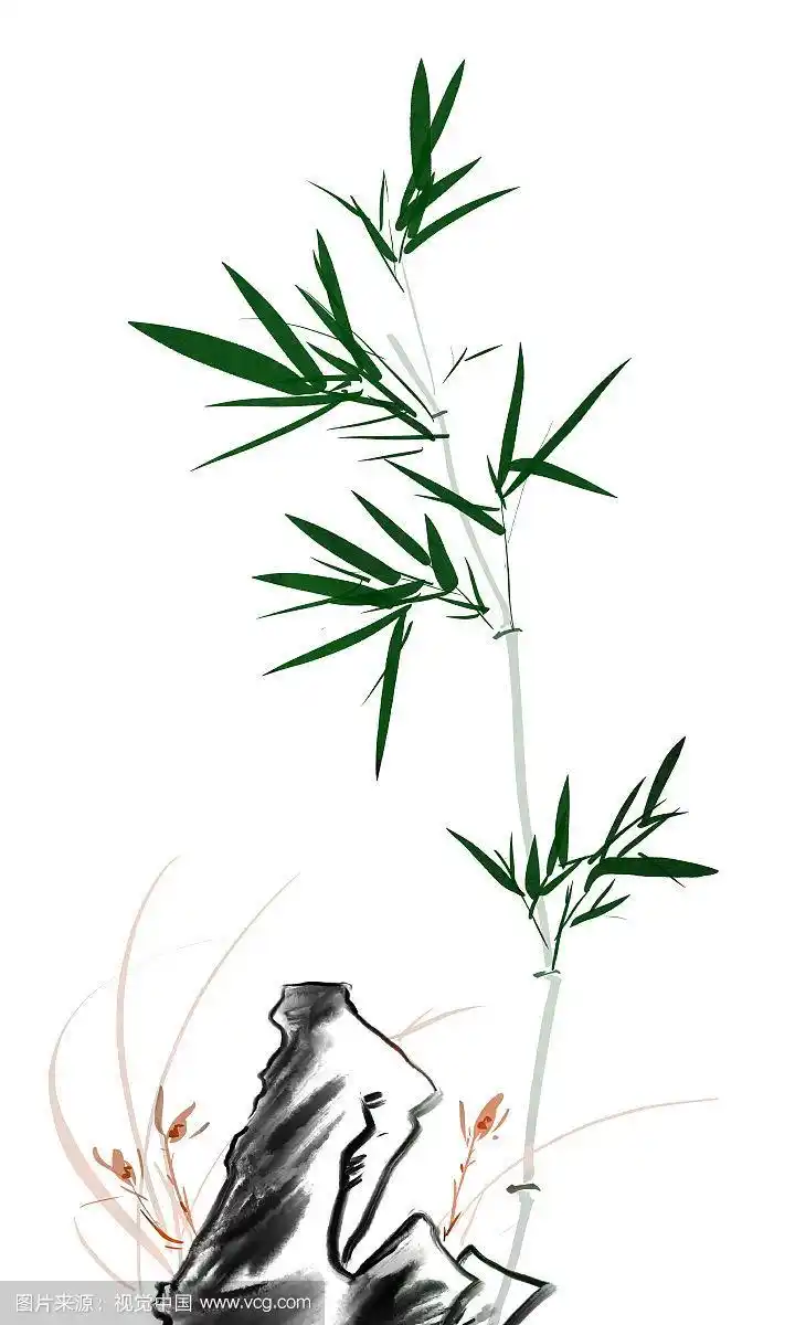 水彩插画翠绿竹子